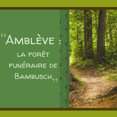 La forêt de « Bambusch »