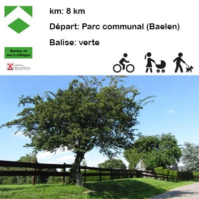 Illustration de l'actualité - cliquer pour agrandir