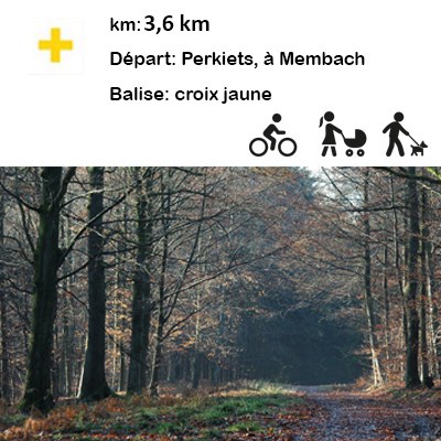 Illustration de l'actualité - cliquer pour agrandir