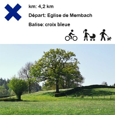 Illustration de l'actualité - cliquer pour agrandir
