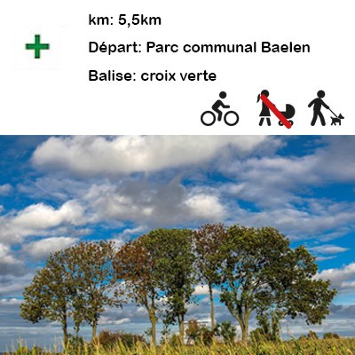 Illustration de l'actualité - cliquer pour agrandir